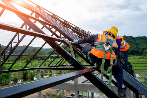 Best Roof Inspection Near Me  in Linden, MI