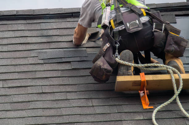 Best Roof Waterproofing Services  in Linden, MI