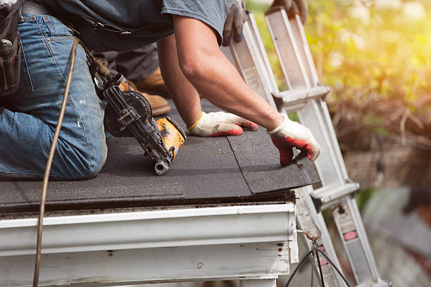 Best Roof Restoration Services  in Linden, MI