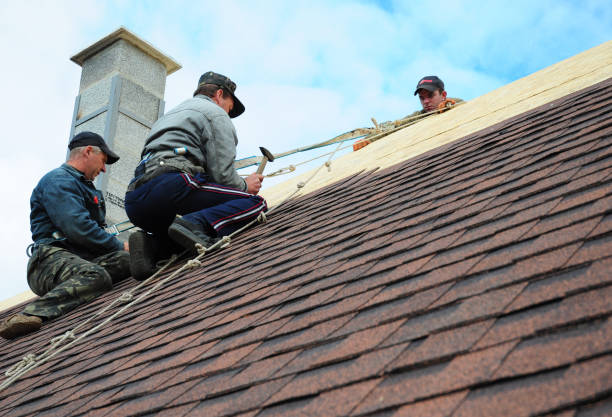 Best Flat Roof Repair Services  in Linden, MI