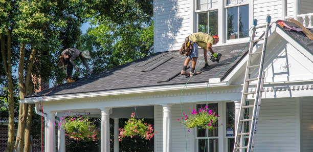 Roof Gutter Cleaning in Linden, MI