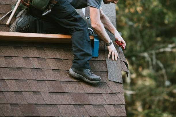 Best Roof Maintenance Services  in Linden, MI