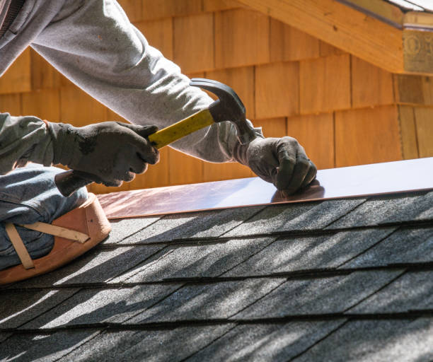 Best Metal Roofing Contractor  in Linden, MI